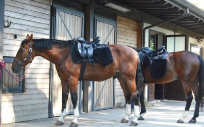 Customize Golf Carts for Stables and Horse Owners