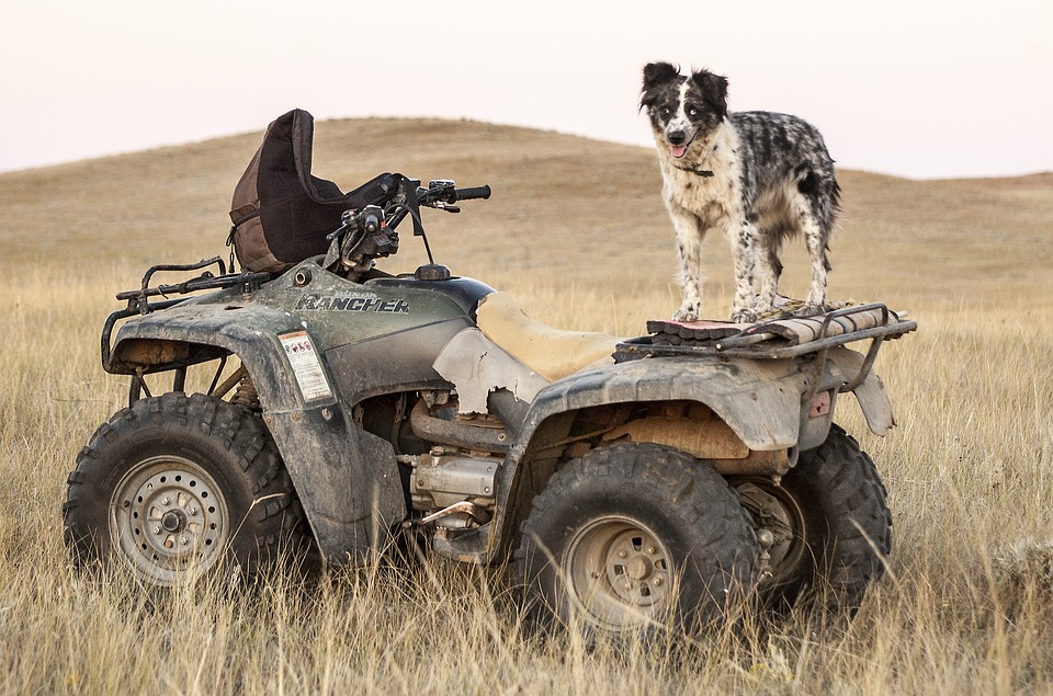Selling a Golf Cart to the Customer Who Clearly Wants an ATV