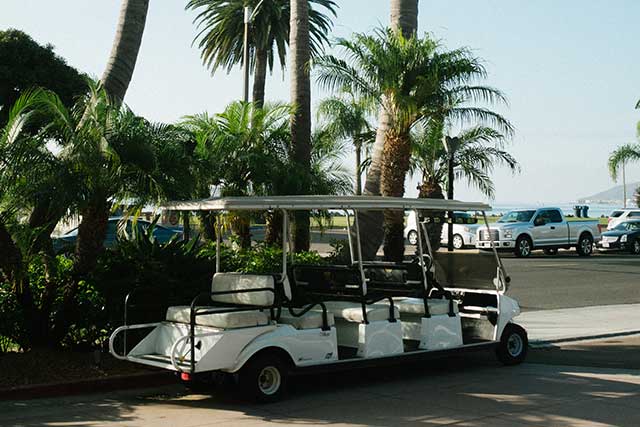 golf cart 4