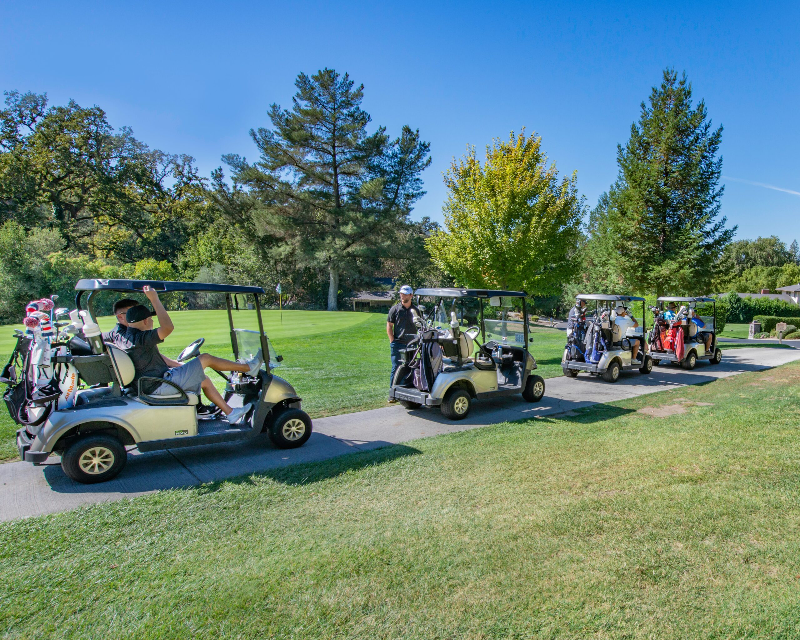Custom golf carts for sale image 04
