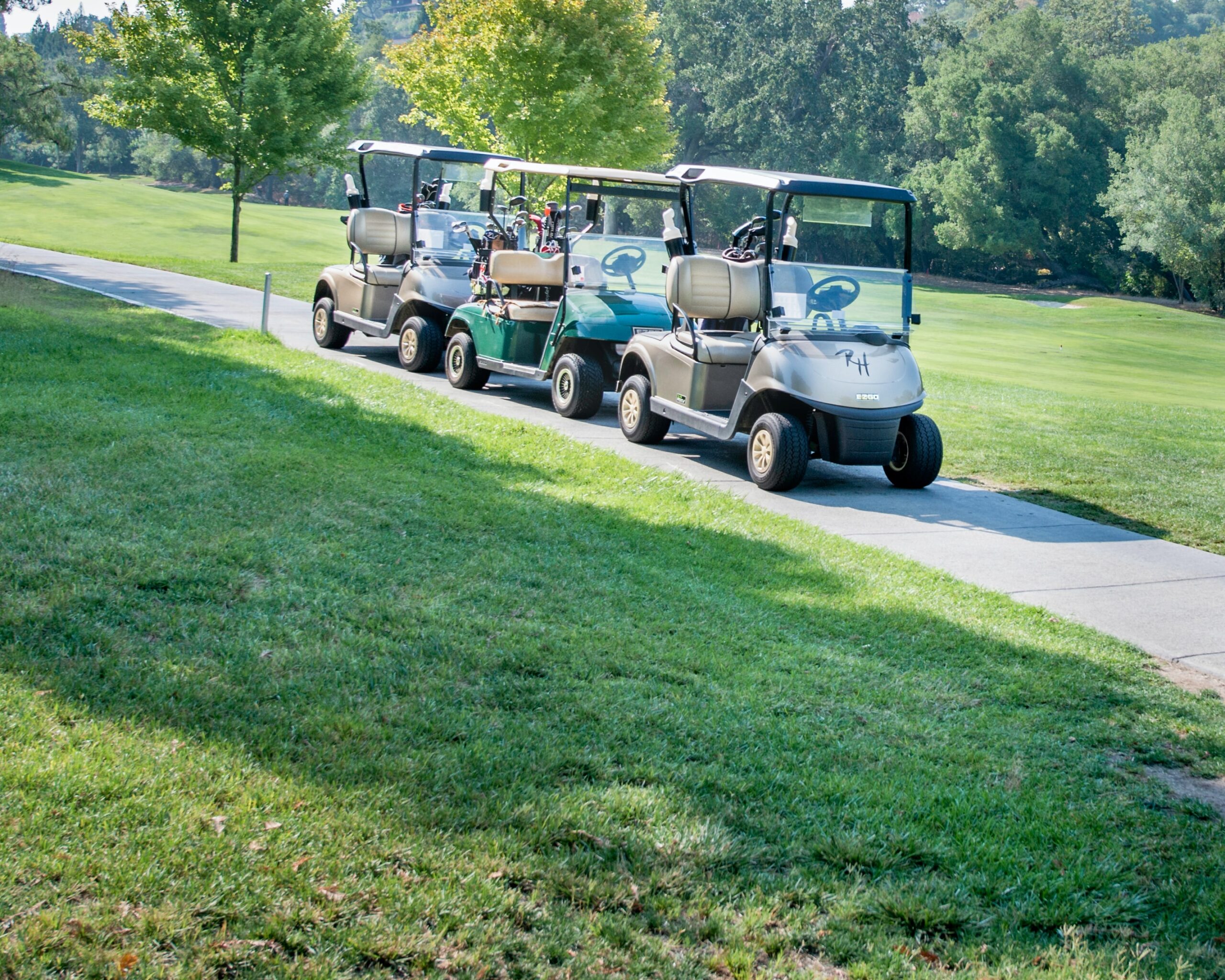Custom golf carts for sale image 04