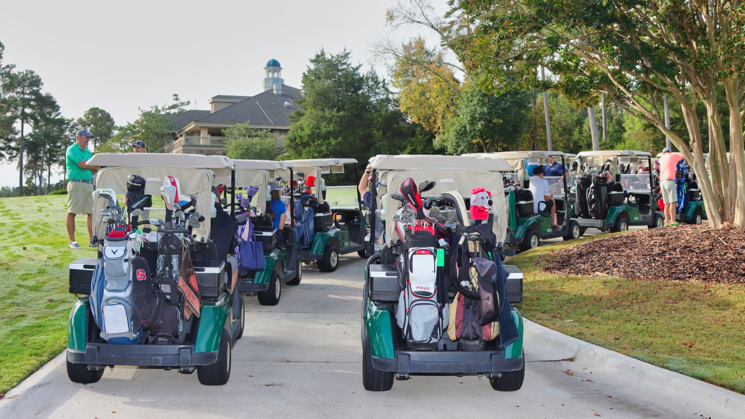 Custom golf carts for sale image 03