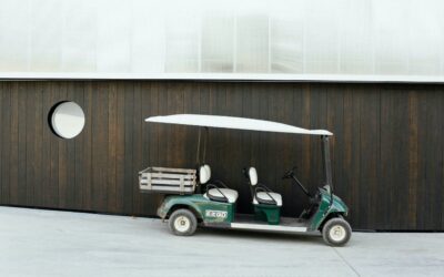 Custom Golf Carts for Sale