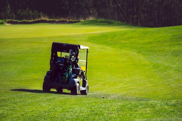 custom ezgo golf cart 2