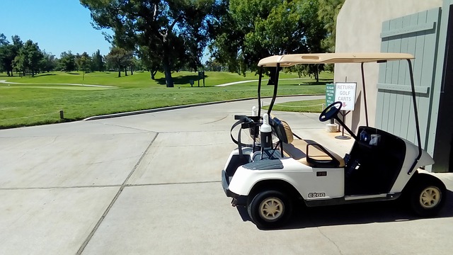 Is The EZGO Golf Cart The Best Option?