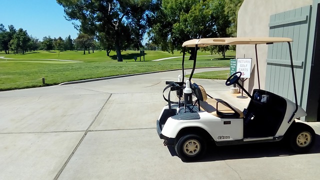 EZGO Golf Cart image 01