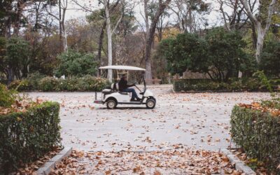 “Golf Carts For Sale Near Me” – Why Sometimes The Closest Carts Are The Best Deals!