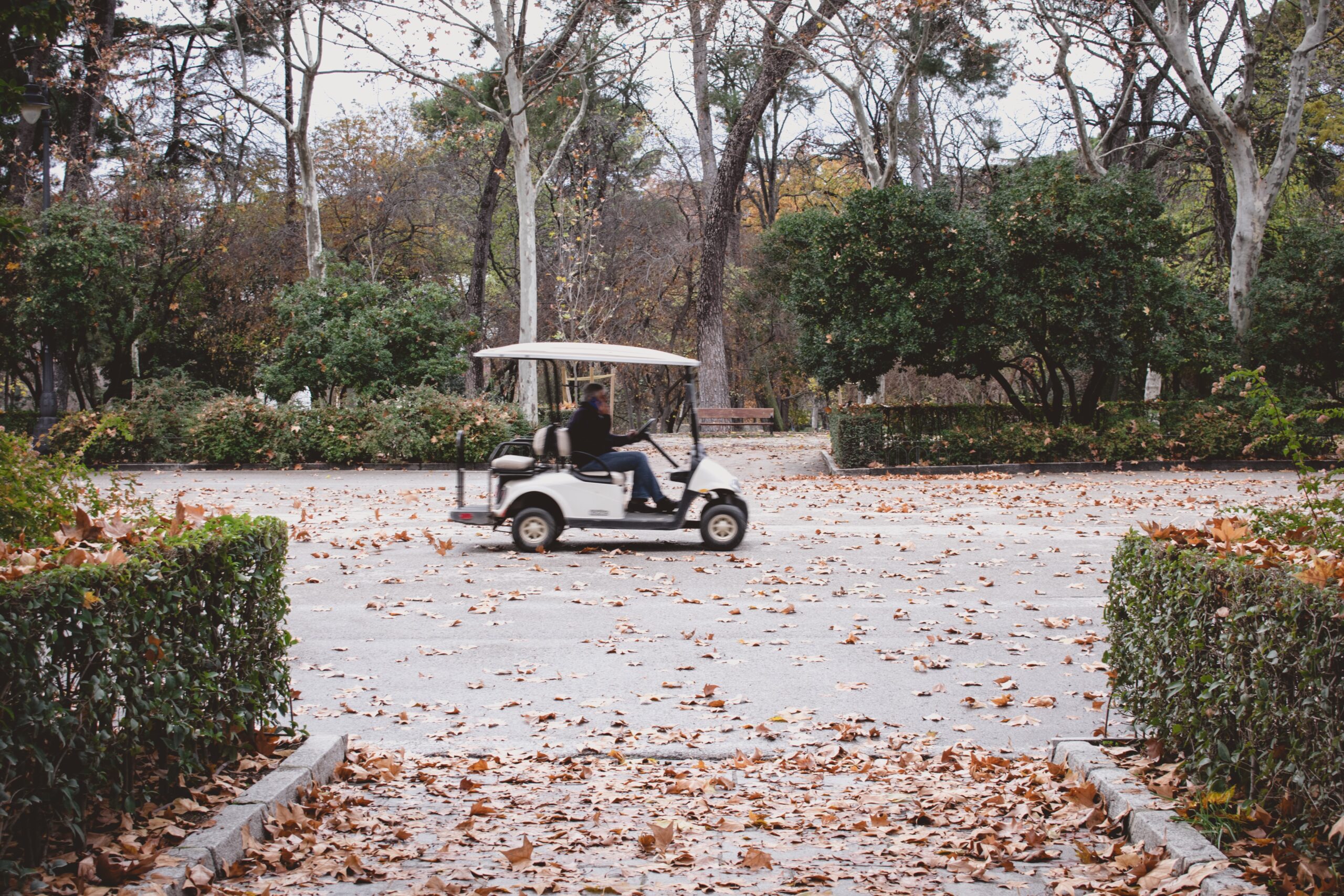 Golf Carts for Sale Near Me image 01